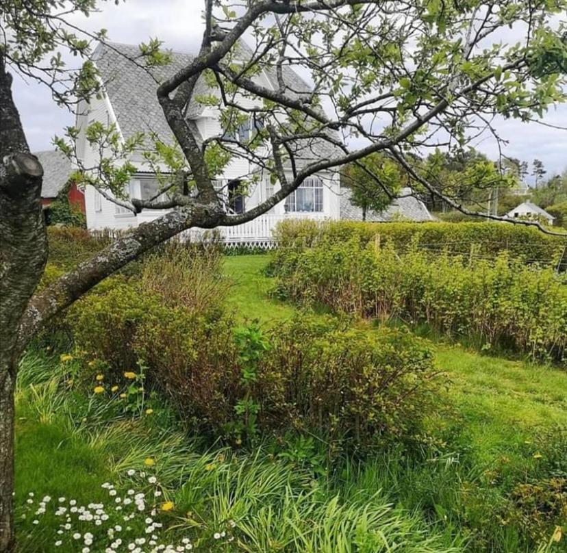 Shared Farmhouse Στάβανγκερ Εξωτερικό φωτογραφία
